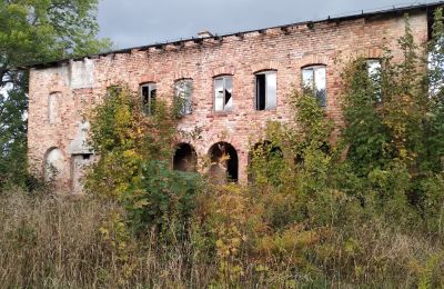 Château à vendre Kostrzyna, Basse-Silésie:  