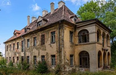 Château à vendre Kostrzyna, Basse-Silésie:  