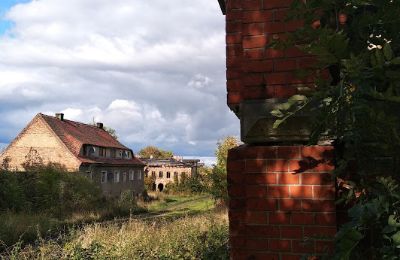 Château à vendre Kostrzyna, Basse-Silésie:  