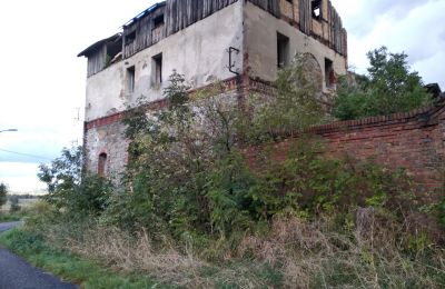 Château à vendre Kostrzyna, Basse-Silésie:  