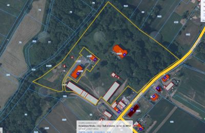 Immobilier historique à vendre Dalborowice:  