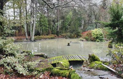 Immobilier historique à vendre Ain:  