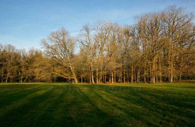 Immobilier historique à vendre Deux-Sèvres:  