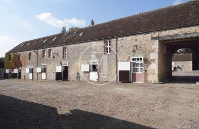 Immobilier historique à vendre La Croix de Coulandon:  