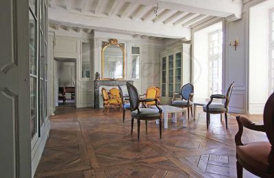 Immobilier historique à vendre Ille-et-Vilaine:  