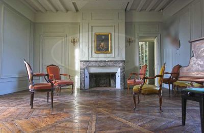 Immobilier historique à vendre Ille-et-Vilaine:  