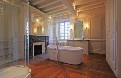 Immobilier historique à vendre Ille-et-Vilaine:  