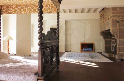 Immobilier historique à vendre Ille-et-Vilaine:  