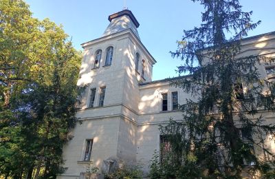 Manoir à vendre Goniembice, Dwór w Goniembicach, Grande-Pologne, Image 2/8