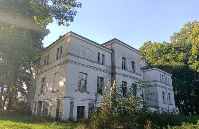 Manoir à vendre Goniembice, Dwór w Goniembicach, Grande-Pologne, Image 5/8