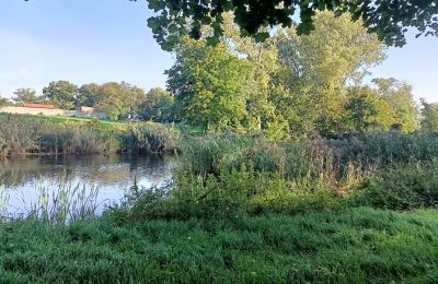 Manoir à vendre Goniembice, Dwór w Goniembicach, Grande-Pologne, Lac/étang