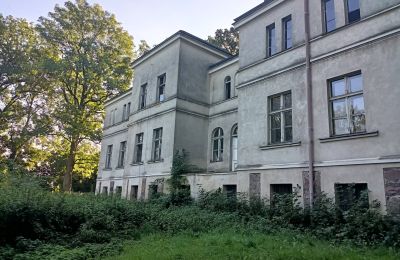Manoir à vendre Goniembice, Dwór w Goniembicach, Grande-Pologne, Vue latérale