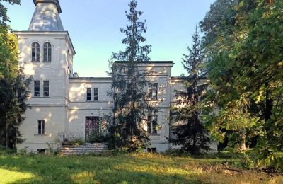 Manoir à vendre Goniembice, Dwór w Goniembicach, Grande-Pologne:  Vue extérieure