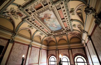Demeure historique à vendre Ústecký kraj, Salle de bal