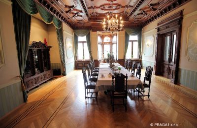 Villa historique à vendre Ústecký kraj:  