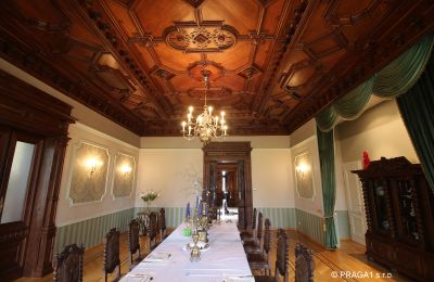 Villa historique à vendre Ústecký kraj:  