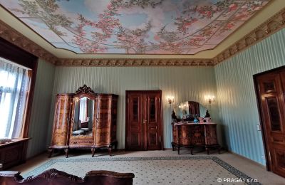 Villa historique à vendre Ústecký kraj:  