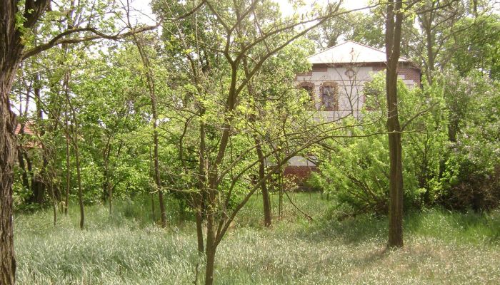  Pleszew 5
