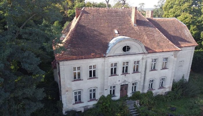 Manoir à vendre Osieczna, Grande-Pologne,  Pologne