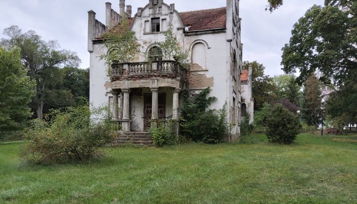  Brodnica 4