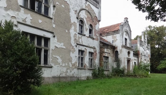  Brodnica 2