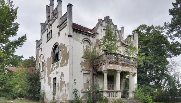 Manoir à Piotrowo avec parc et dépendances - projet de rénovation