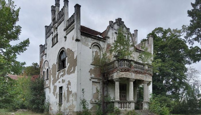 Manoir à vendre Brodnica, Grande-Pologne,  Pologne