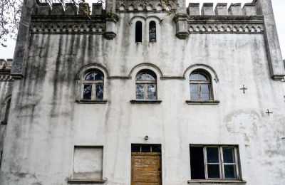 Manoir à vendre Piotrowo, Dwór w Piotrowie, Grande-Pologne, Vue latérale