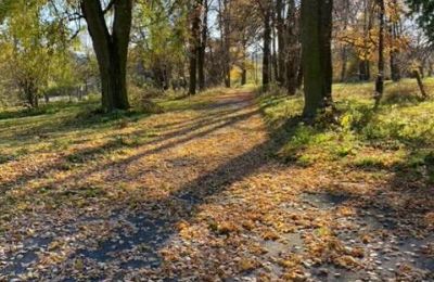 Manoir à vendre Mzurów, Silésie:  