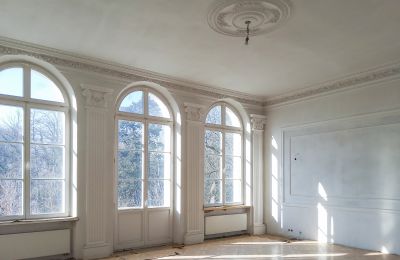 Château à vendre Lubstów, Pałac w Lubstowie, Grande-Pologne, Image 10/33