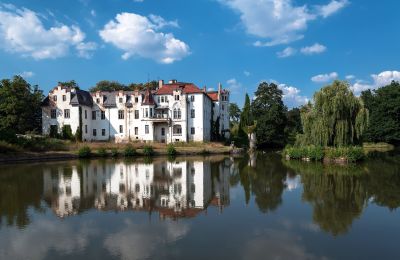 Château à vendre Dobrocin, Pałac w Dobrocinie, Basse-Silésie:  