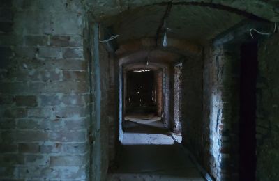 Manoir à vendre Gierłachowo, Dwór w Gierłachowie 18a, Grande-Pologne, Cave