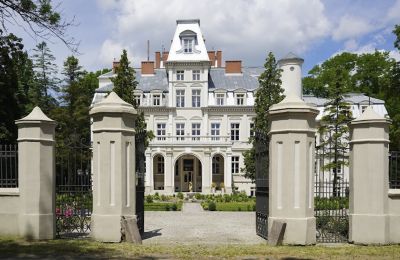 Château à vendre Malina, Pałac Malina, Łódź:  Porte