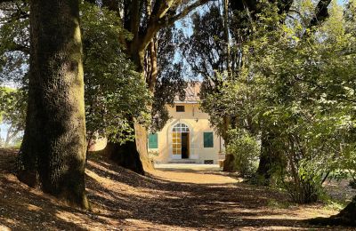 Villa historique à vendre Siena, Toscane:  RIF 2937 Blick auf Eingang
