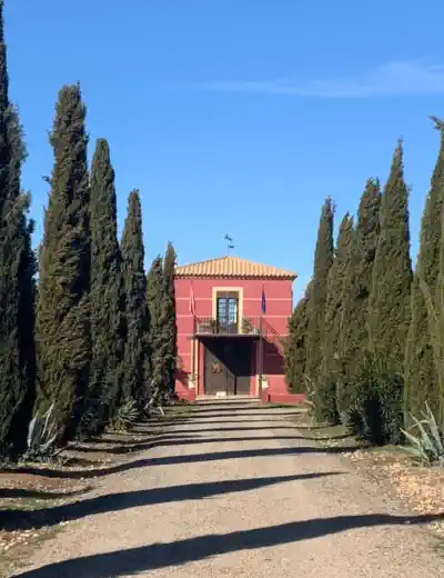 Offres immobilières à  Espagne Castille-La Manche