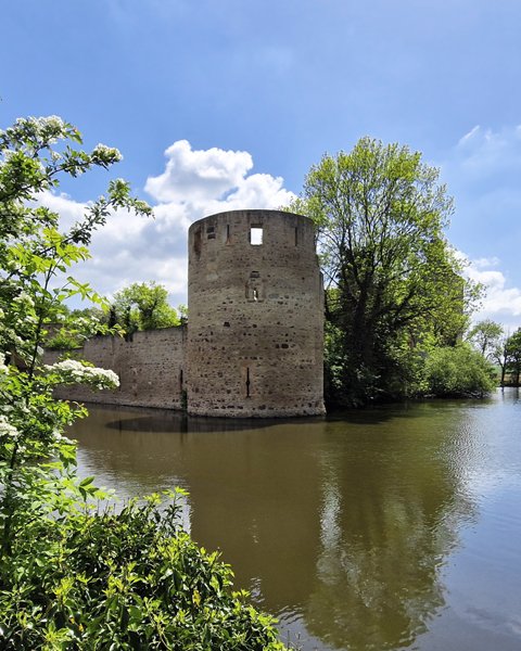 Acheter un château medieval - Château médiéval à vendre